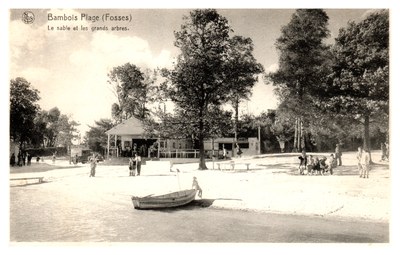 Bambois Plage (Fosses) - Le sable et les grands arbres