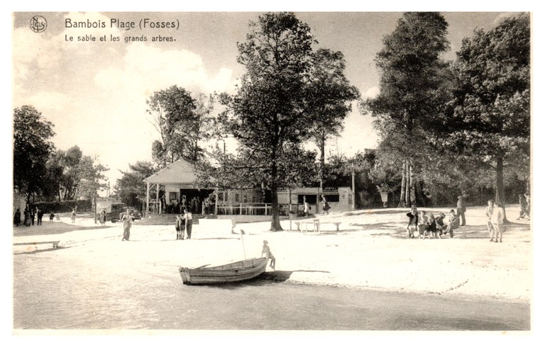 Bambois Plage (Fosses) - Le sable et les grands arbres