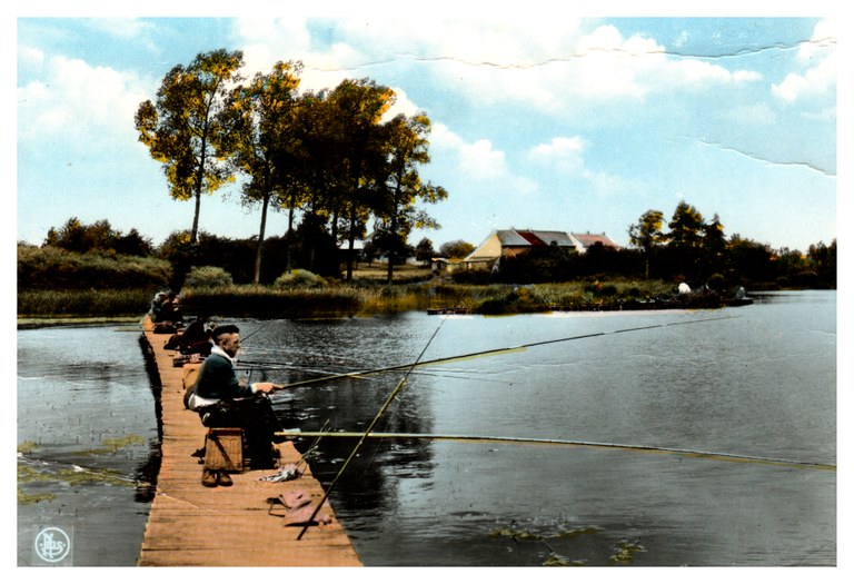 Lac et plage de Bambois (Fosses)