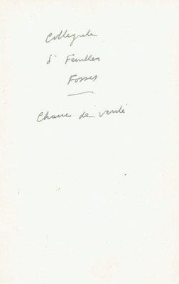Collégiale-chaire de vérité-verso.jpg