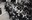 Saint-Feuillen 1928 : Dragons