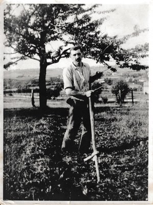 Désiré Galand fauche l'herbe vers 1947