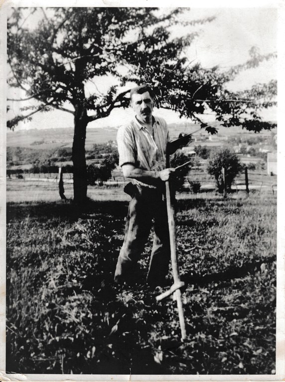 Désiré Galand fauche l'herbe vers 1947
