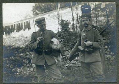 Deux soldats allemands en patrouille