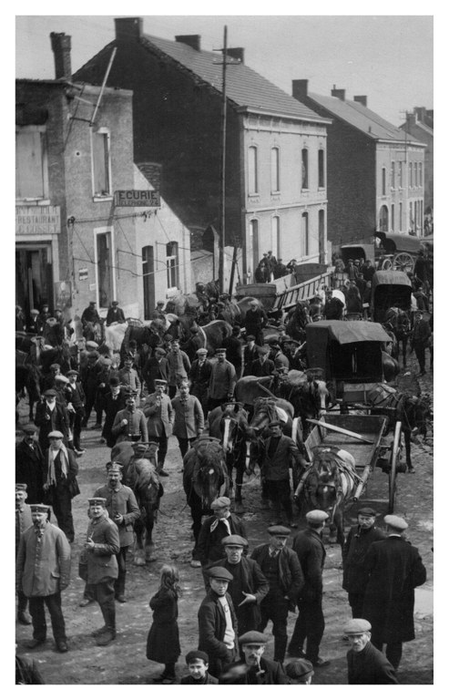 Réquisition des chevaux et charettes par les Allemands en 1914